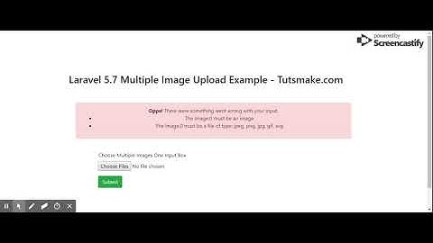 Laravel Multiple Image Upload Example  - Tutsmake.com