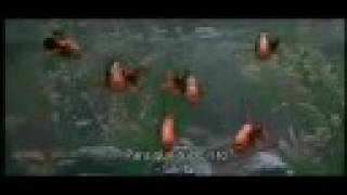 Monthy Python - O Sentido da Vida