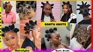 Bantu Knots Braids Hairstyles  Latest Bantu Knots Braids For Black Women  Women Natural Hairstyles