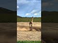 Giraffe vs lion fight 🦁🦒#likesadia #animals #beautiful #giraffe #lion