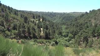 Barragem de Vila Chã, Alijó