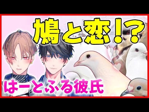 人類にはまだ早い? 鳩と甘く切ない恋します!【カナハルゲーム実況】