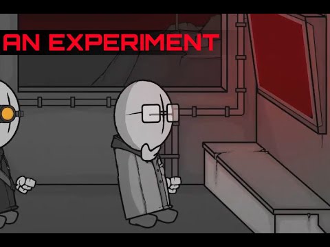 Vídeo: Què és Un Experiment
