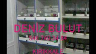 malinua kanarya manilua mlinios deniz bulut