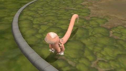 Spore Xenomorph(chestbuster)