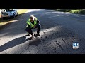 After three months the pothole repair made with ez street asphalt is still strong