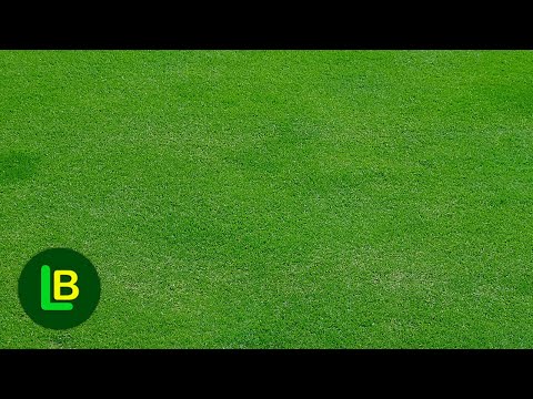 Video: Da li je veštačka trava dobra?