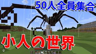50人が小人になってしまった世界で虫から逃げながら全員集合 - マインクラフト【KUN】