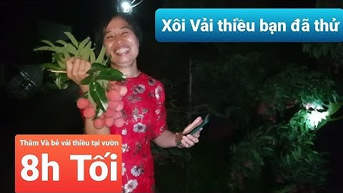 Lần Đầu Làm Món Xôi Vải Thiều Lục Ngạn Và Đón Vị Khách Đặc Biệt l Núi Đồi Lục Ngạn