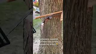 Us logger' s failed tree felling hits a house #satisfying#tree #logging #oddlysatisfying #usaus #fyp