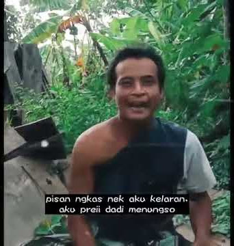 story WA lucu patah hati