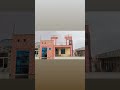 छत से बारिश का प्यारा दृश्य 🌦️ #RainyDay #Monsoon#RooftopView#RainVideo#WeatherUpdate #IndianWeather