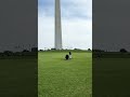 Washington DC Monument #shorts #fy #dc #usa