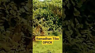 Download Lagu Ramadhan Tiba, OPICK MP3 Download Lagu Ramadhan Tiba, OPICK MP3