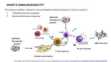 General principles Clinical interpretation of immunogenicity