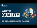 WHAT IS QUALITY - LEAN SIX SIGMA TRAINING COURSE