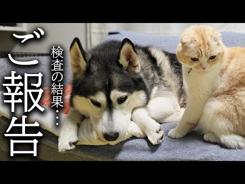 【ご報告】病院での病理検査の結果について...