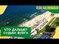 ЗЕЛЕНОГРАДСК 2021 в июле / Новое кафе Гнездо на пляже Западный в Зеленоградске