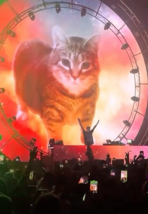 😭 uiia cat at a rave 🎸🕺 #cat #silly #shorts