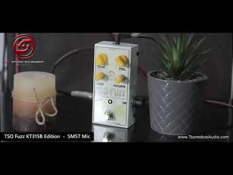One of the Rarest Fuzz? One-of-a-Kind TSO-Fuzz Demo Russian KT315B by TSL Studio Equipment