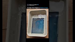 The Science of Cyanotype Photography Revealed! 🧪🎨