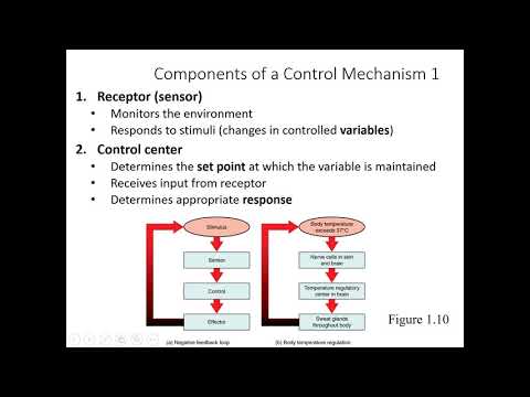 Chapter 1, Part 1 D - YouTube