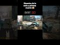 Si me lleva el pirata se acaba el directo #fallout #fallout3 #fallout4 #falloutnewvegas #desafio