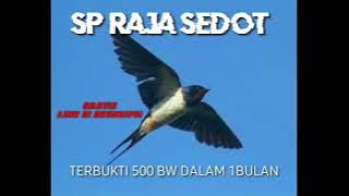 SP RAJA SEDOT ORIGINAL TERBUKTI JOSS