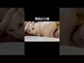 添い寝のプロ #cat #白猫 #猫のいる暮らし #猫店長