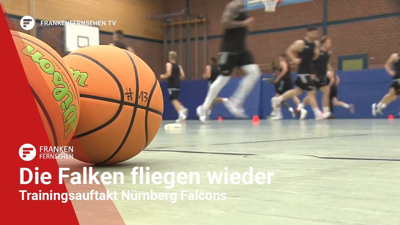 Die Falken fliegen wieder Trainingsauftakt der Nürnberg Falcons