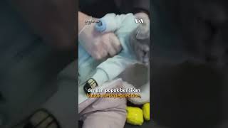 Perempuan Ditahan Setelah Gendong ‘Bayi’ yang Ternyata Kucing & Narkoba