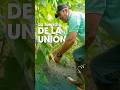 La fuerza de la unión - Fundación Grupo Bios