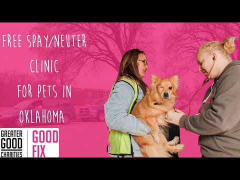 Video: O modalitate inteligentă de a promova Spay & Neuter