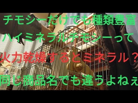 偽りなのか倉庫環境なのか牧草の違いを判断するものです Mini Rabbit Timothy Youtube 偽りなのか倉庫環境なのか牧草の違いを判断するものです Mini Rabbit Timothy Youtube