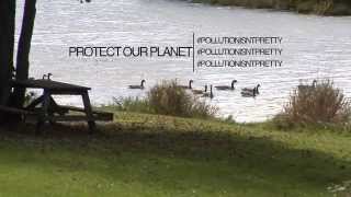 Pollution Isn't Pretty: Sanitary Sewers vs. Storm Sewers