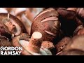 An Expert's Guide to Mushrooms | Gordon Ramsay