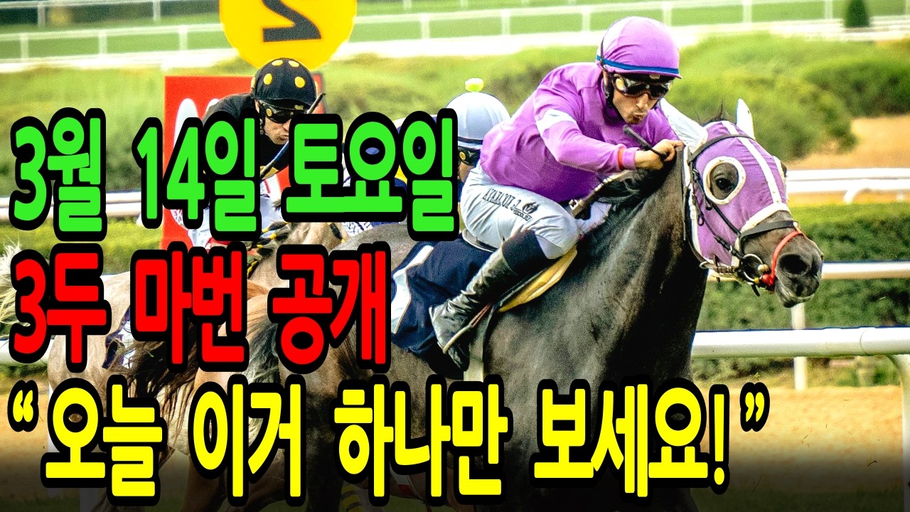3월 14일 토요일 경마~"이 말 하나만 보세요 오늘 배당판 뒤집습니다"ㅣ승전경마 전문가의 이변 포착 l 경마 l 경마예상 l 코리아레이스 l 검빛경마 ㅣ경마정보