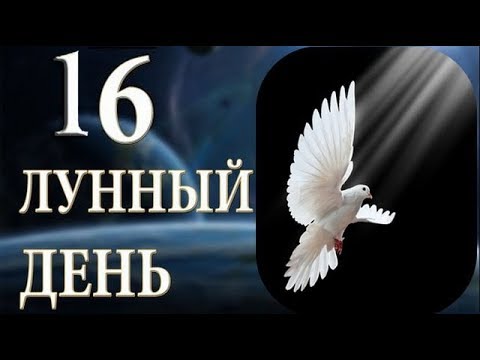 16 ЛУННЫЙ ДЕНЬ. ХАРАКТЕРИСТИКА