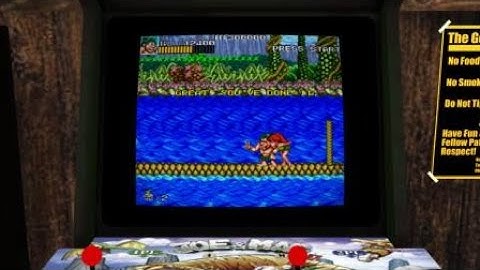 Retro Classix: Joe & Mac ps4 (damn dolphins)