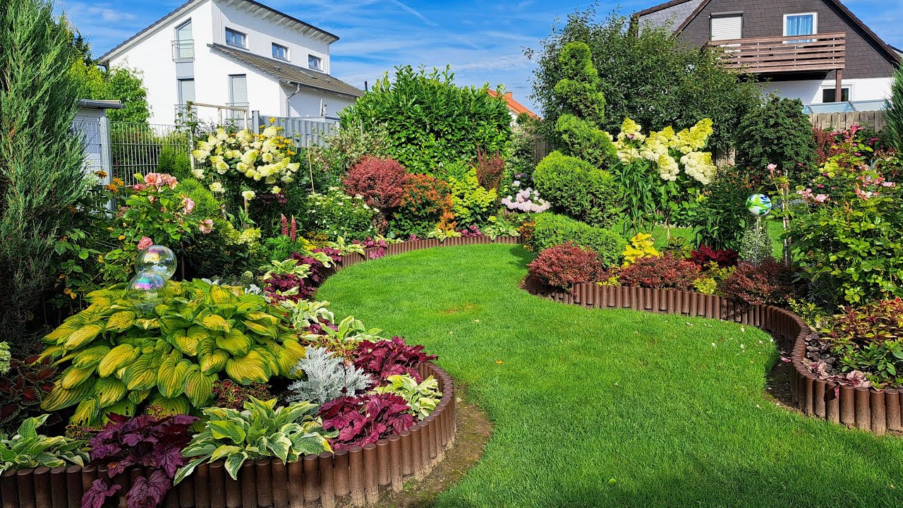 Гортензии в полном цвету/ Обзор цветников