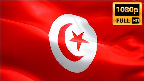 Tunisia flag closeup 1080p Full HD 1920X1080 footage video waving in wind. Tunisian flag H
