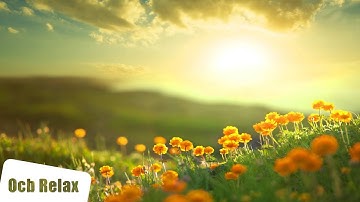 Morning Relaxing Music - Positive Feelings and Energy (Adele)