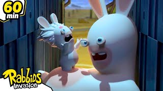 ¡El experimento de Mad Rabbid sale mal! | Nueva compilación 90 Min | Dibujos animados