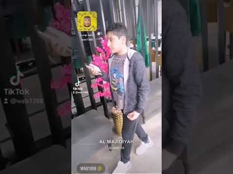 مطعم ومقهى تش لاونج   كورنيش القطيف مفتوح ٢٤ ساعه 2022 12 10