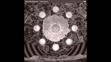 Spectacular Diagnostics - MILLENIUM FALCONRY feat EFF YOO