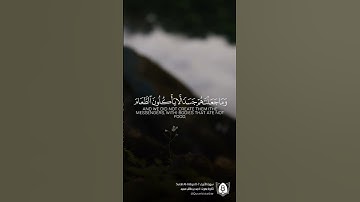 #تلاوة من #سورة_الأنبياء بصوت #أحمد_بن_طالب_حميد #قران #قرآن_كريم #آيات #استغفرالله  #quran