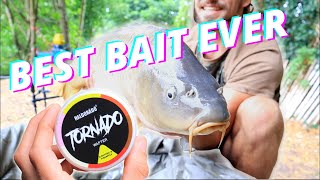 This may be the BEST carp bait (100% catch rate)