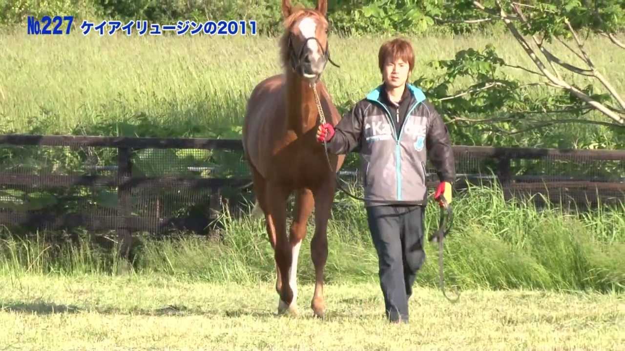 セレクトセール2012 セレクトセール2012上場馬