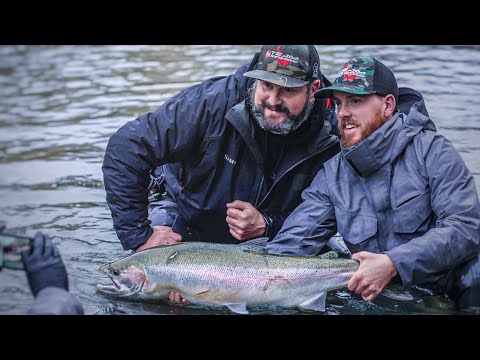 MONSTER Winter Steelhead
