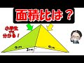 小学生でも簡単！重要な性質がぎゅーと詰まった良問！【中学受験算数】